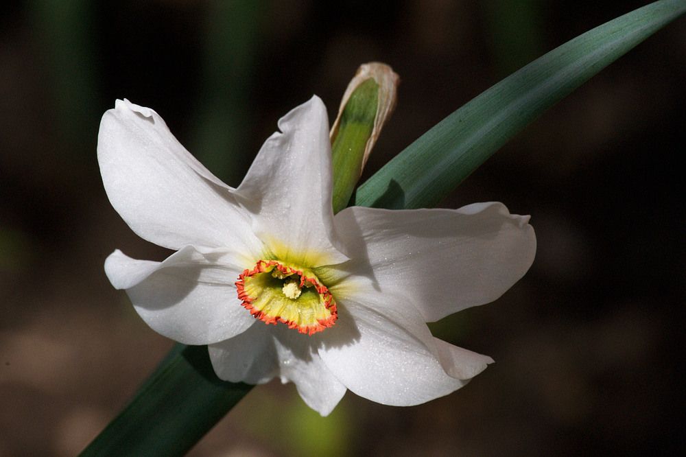 Photograph by Yroslava Veretina