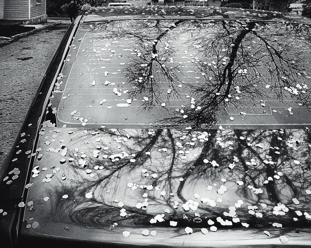 Photograph by Ольга Мартьянова