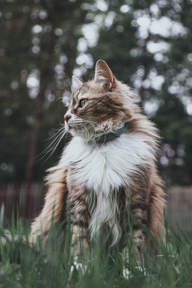 Photograph by Львова Люси