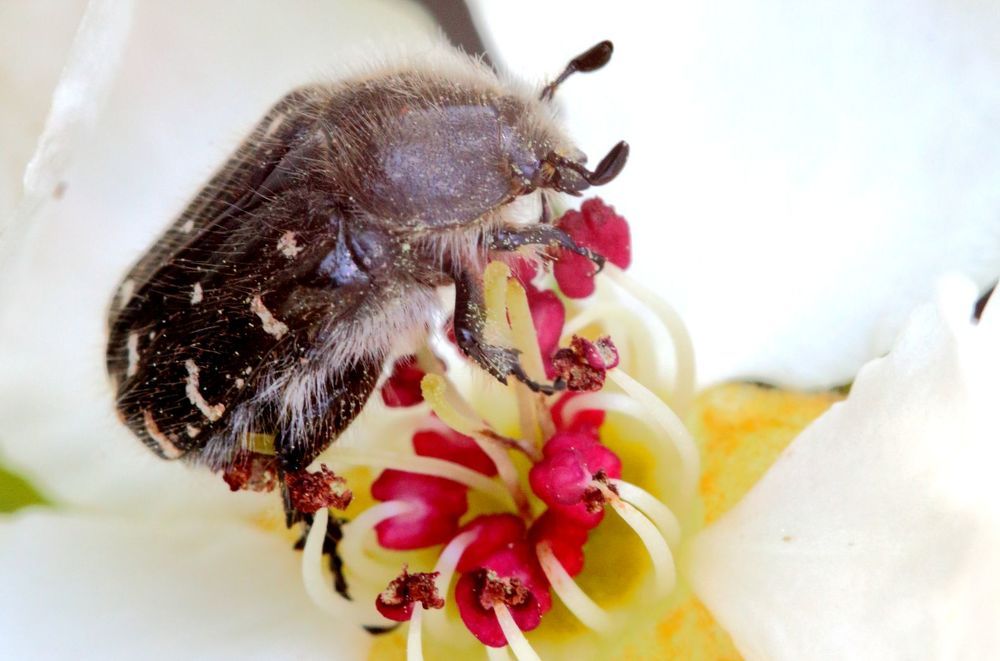 Photograph by Юрий Варюхин