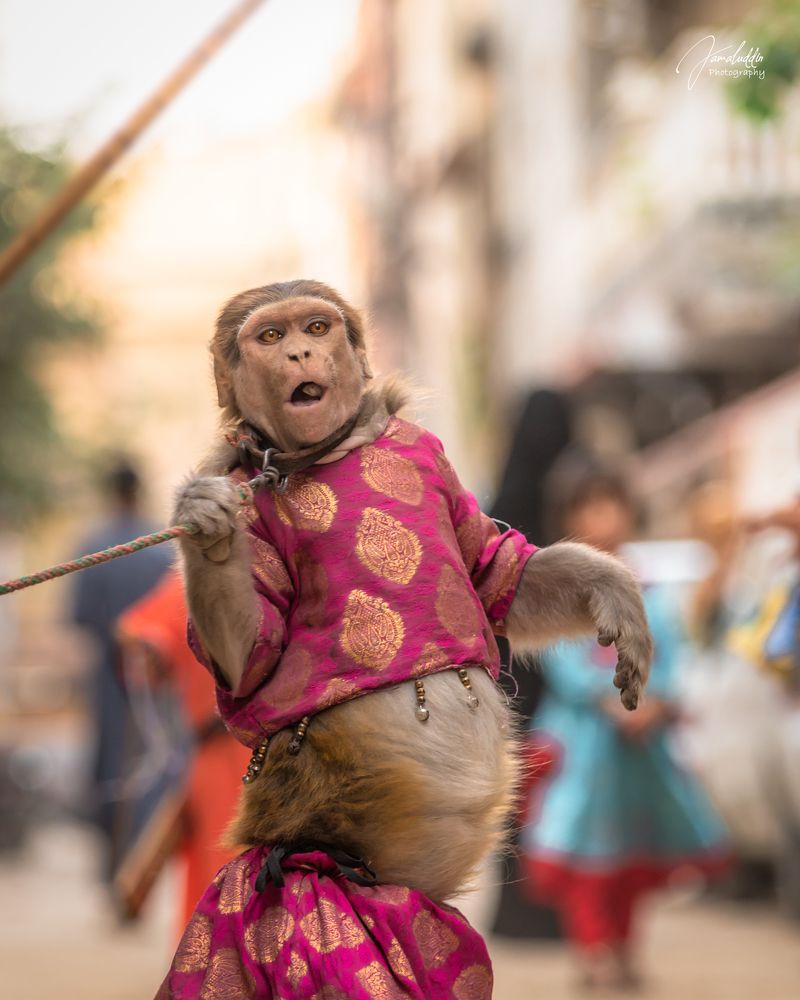 Photograph by Jamal Uddin