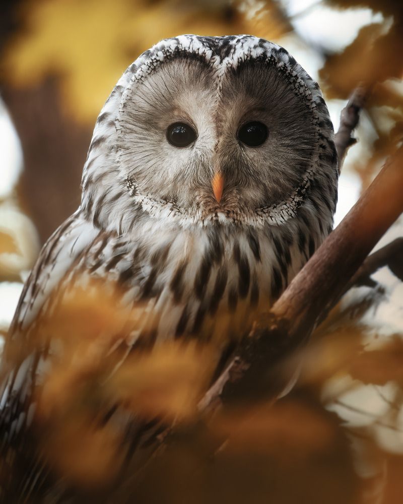 Photograph by Поляков Михаил