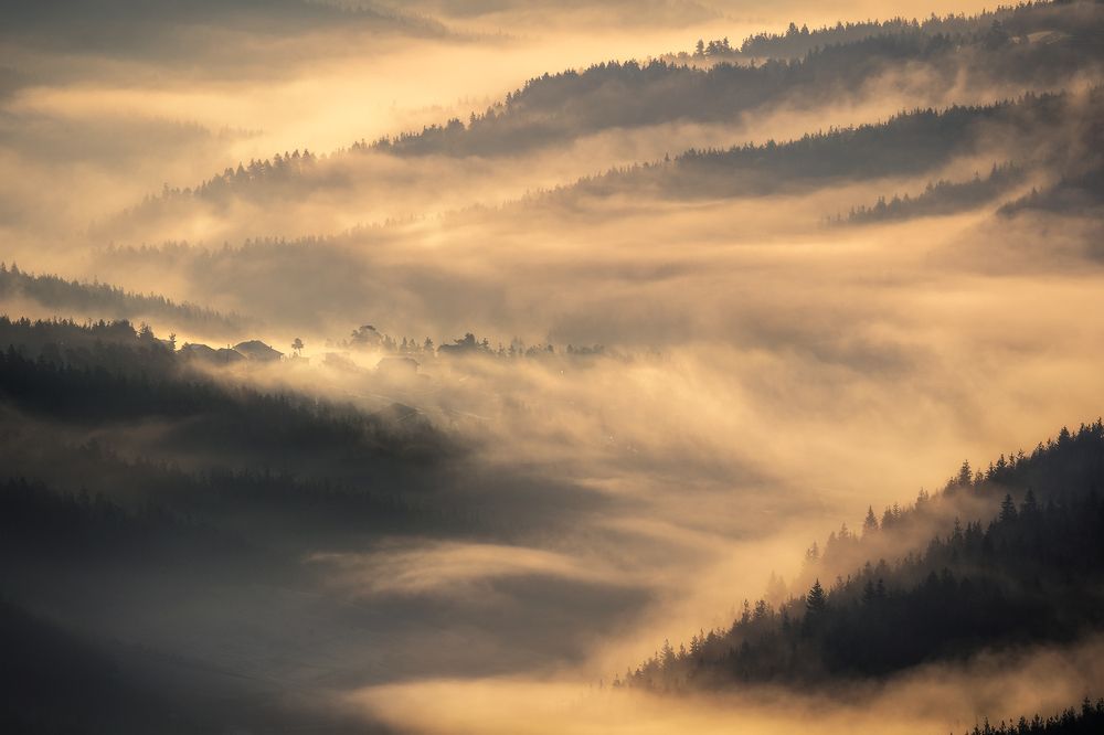 Photograph by Александров Александър