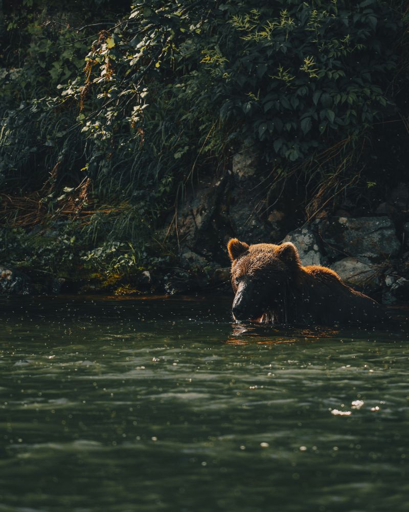 Photograph by Konstantin Morozov