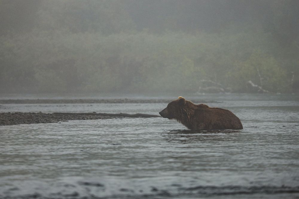 Photograph by Konstantin Morozov