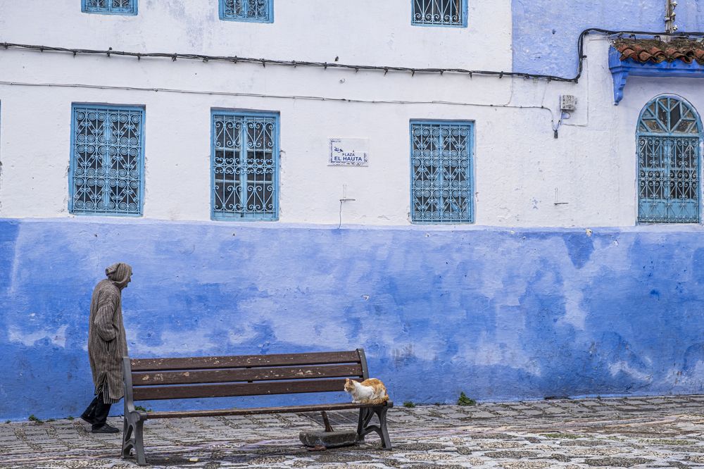 Photograph by Amelia Pardo