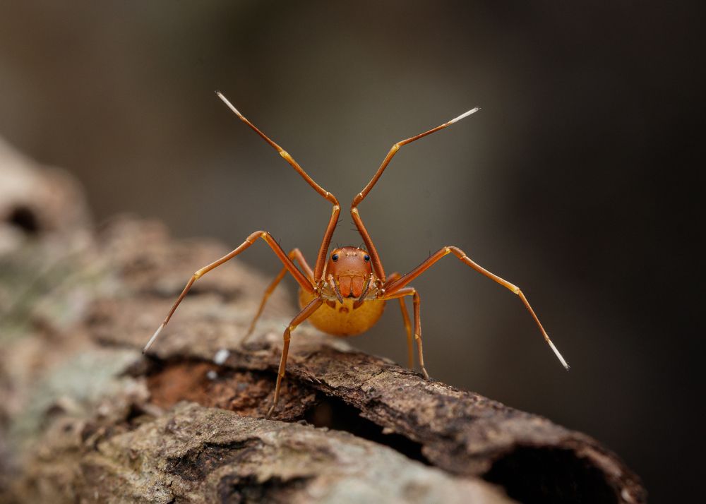 Photograph by Manjunath Acharya