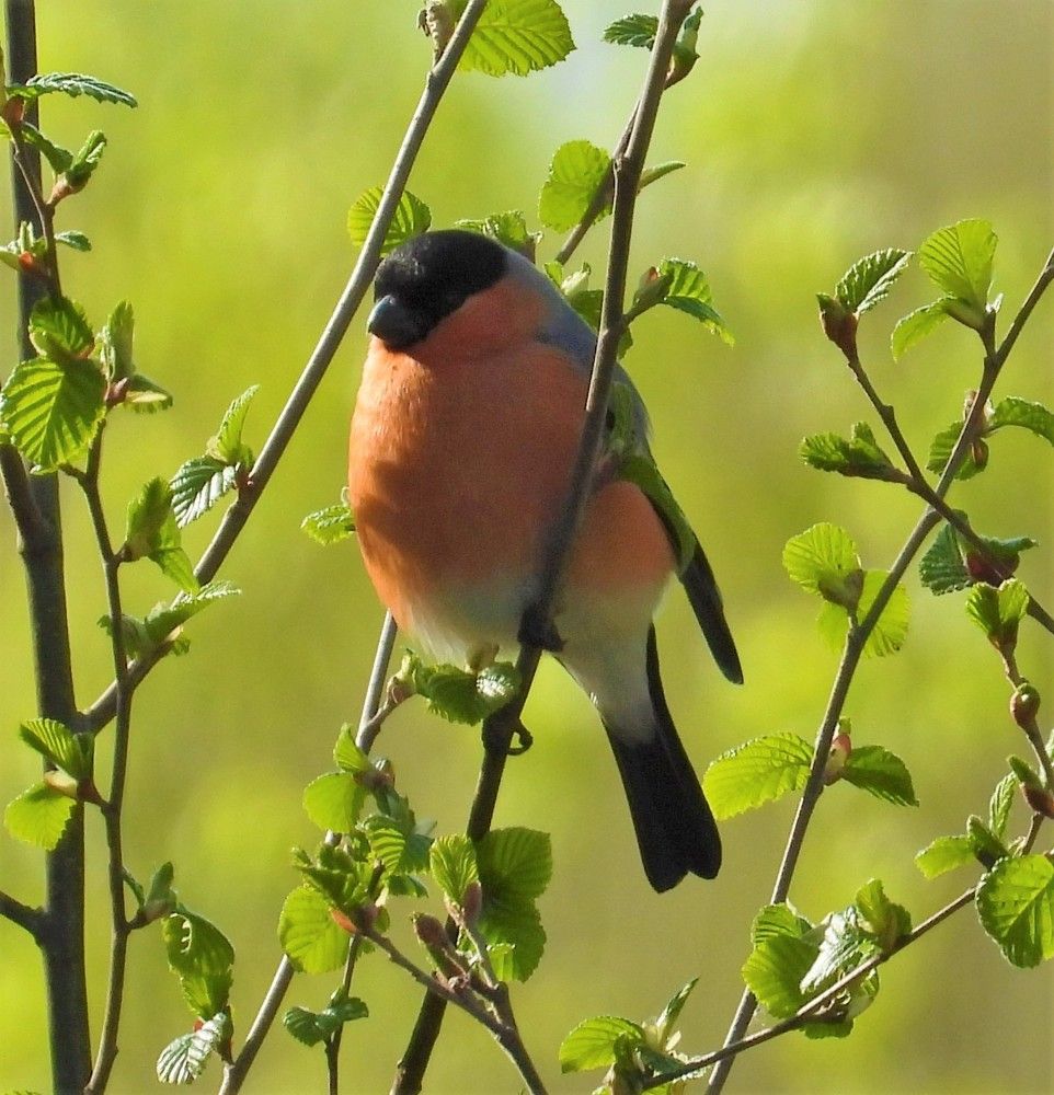 Photograph by Владимир Джерихов
