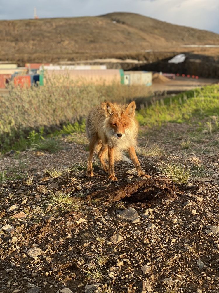 Фотография автора Наталья Вертугина
