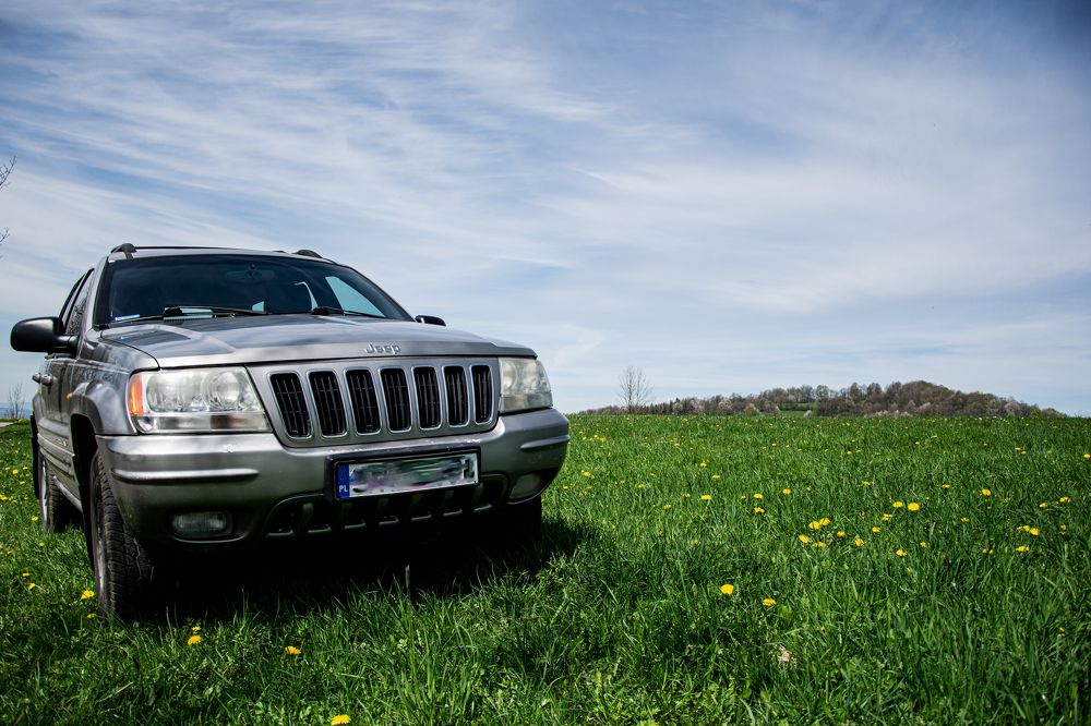 Photograph by Сидоренко Оксана