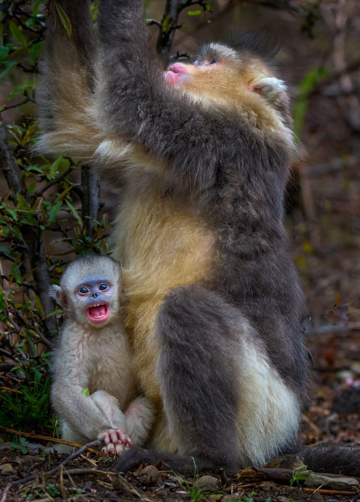 Фотография автора Maurice Leung