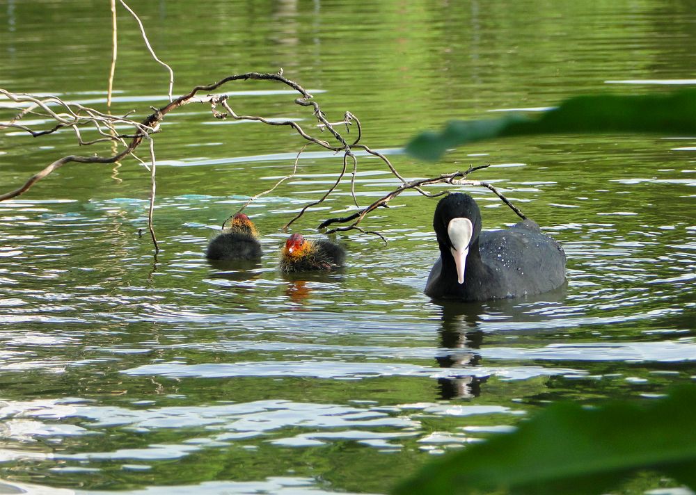 Photograph by Оксана Архипова