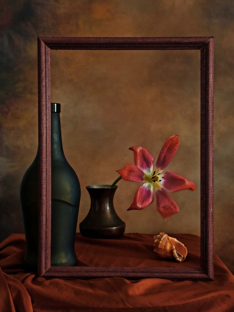 Photograph by Дина Полухина