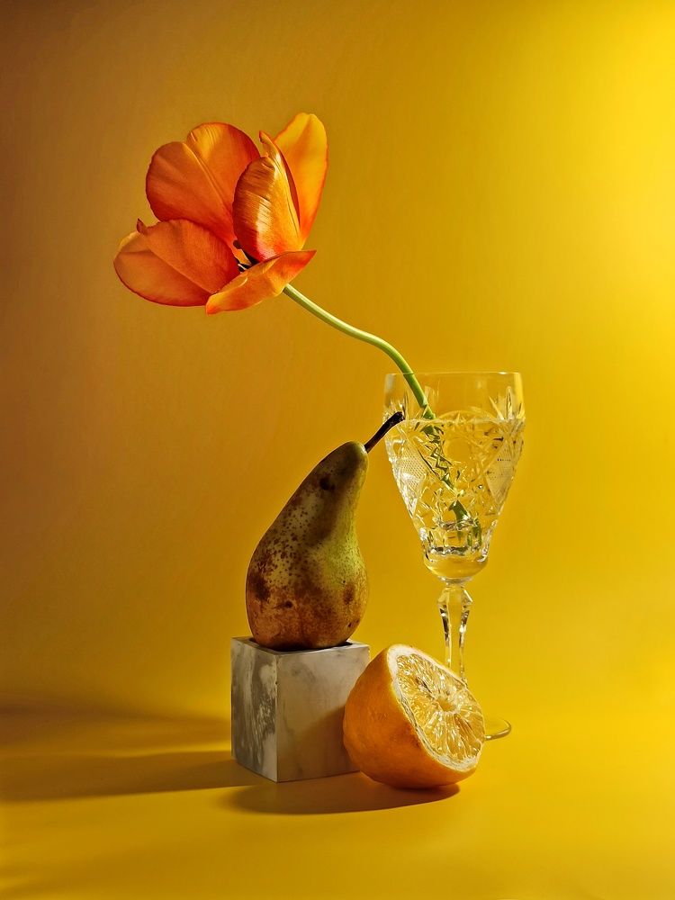 Photograph by Дина Полухина