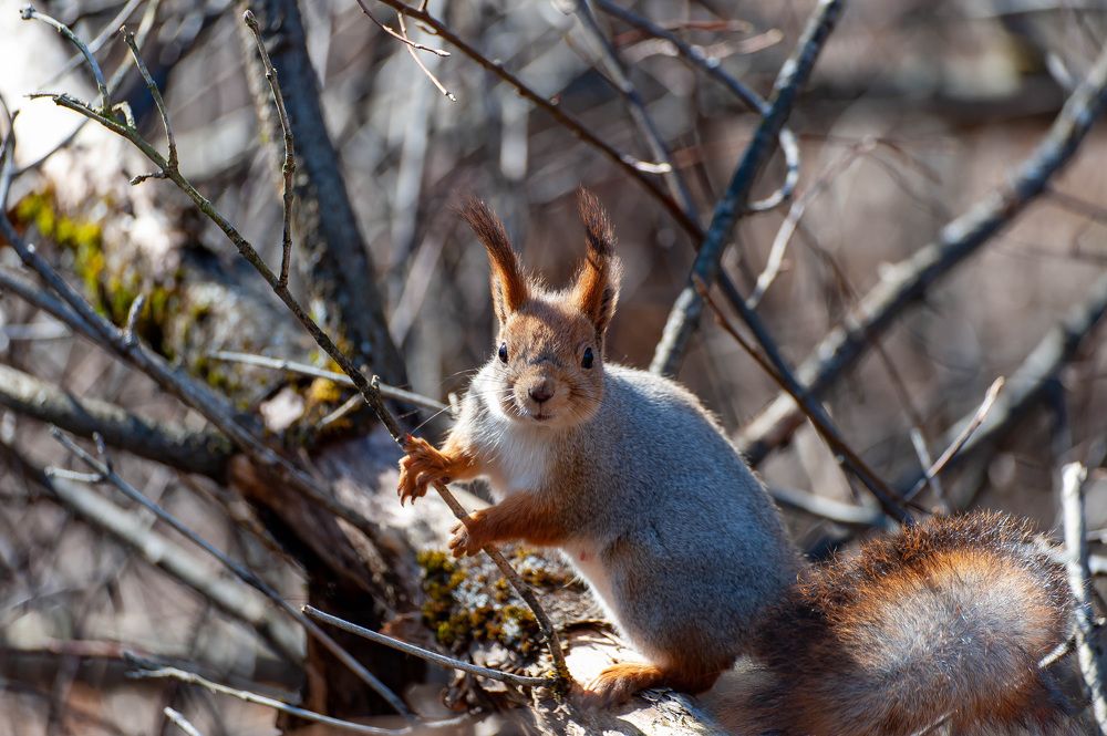 Photograph by Вадим Басов