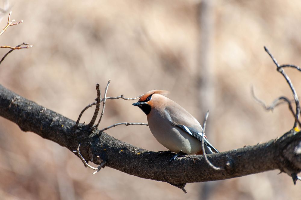 Photograph by Вадим Басов