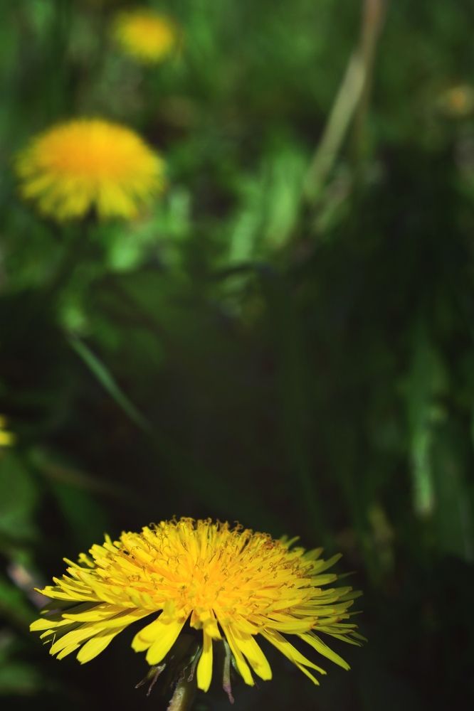 Photograph by Мария Опритова