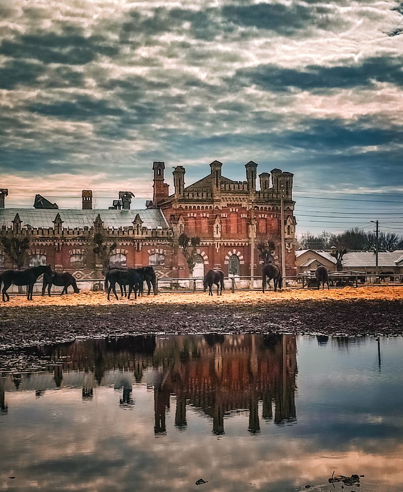 Фотография автора Нина Зинченко