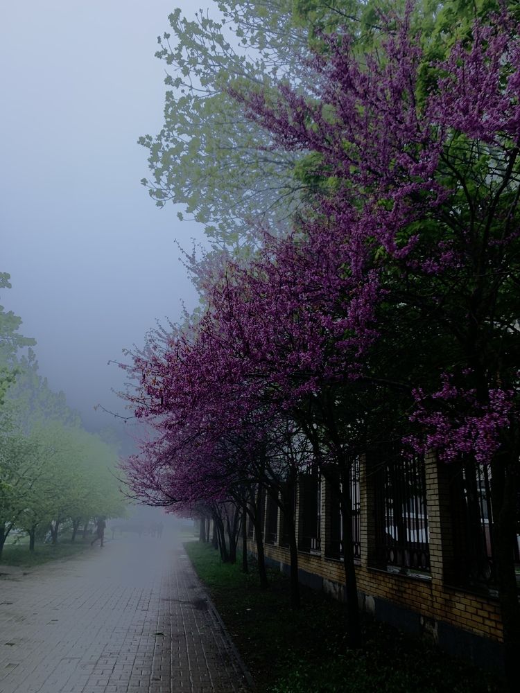 Photograph by Лариса