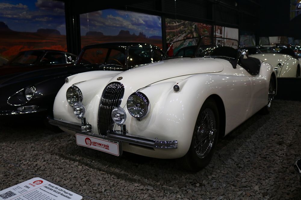 Photograph by Светлана Шуткова