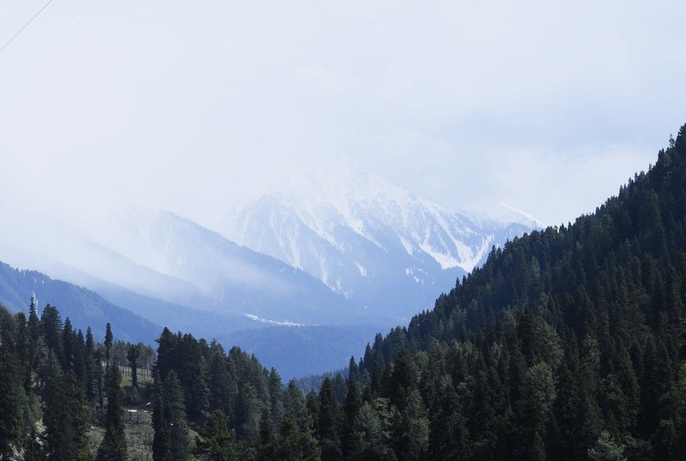 Photograph by Preet saluja