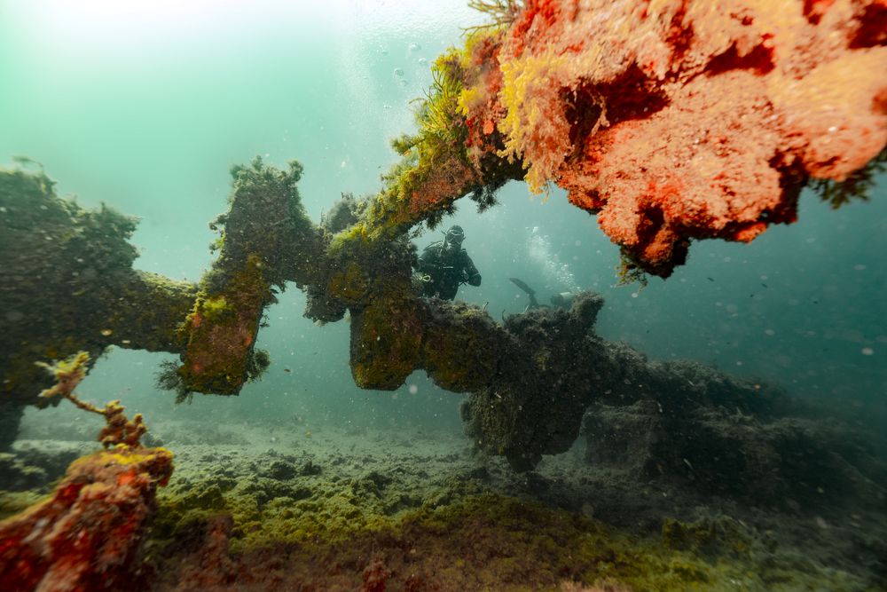 Photograph by Валерий Лейко