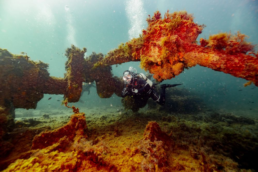 Photograph by Валерий Лейко