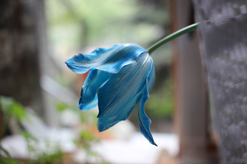 Photograph by Марина Евграфова