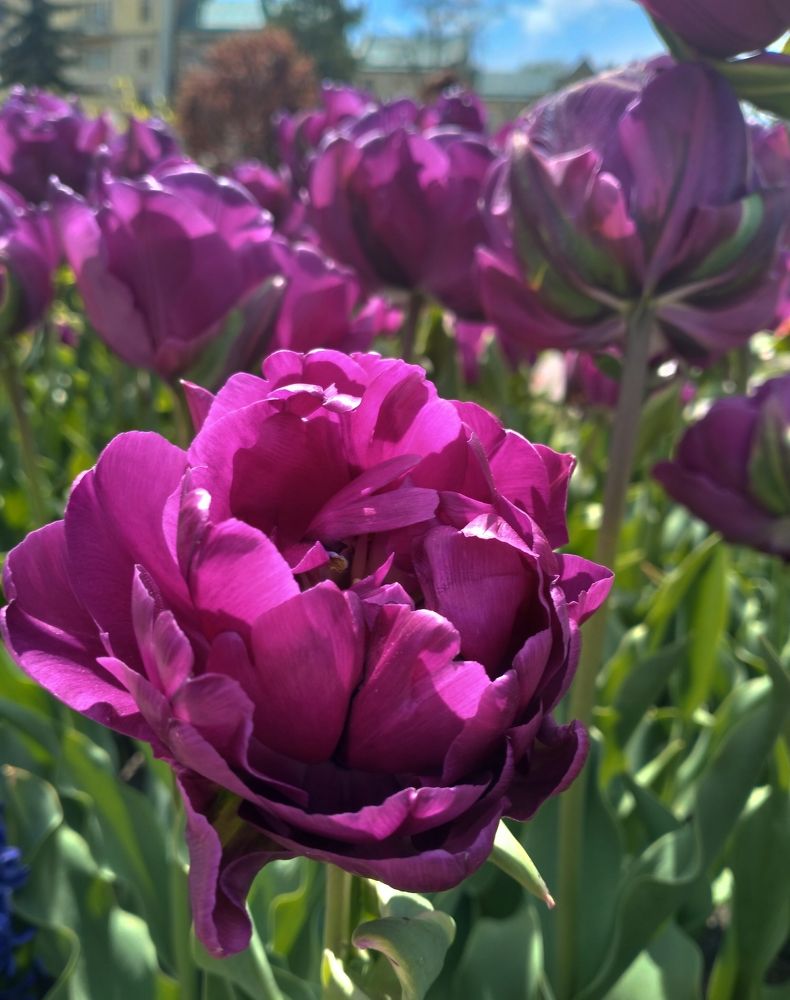 Photograph by Светлана Мозговая