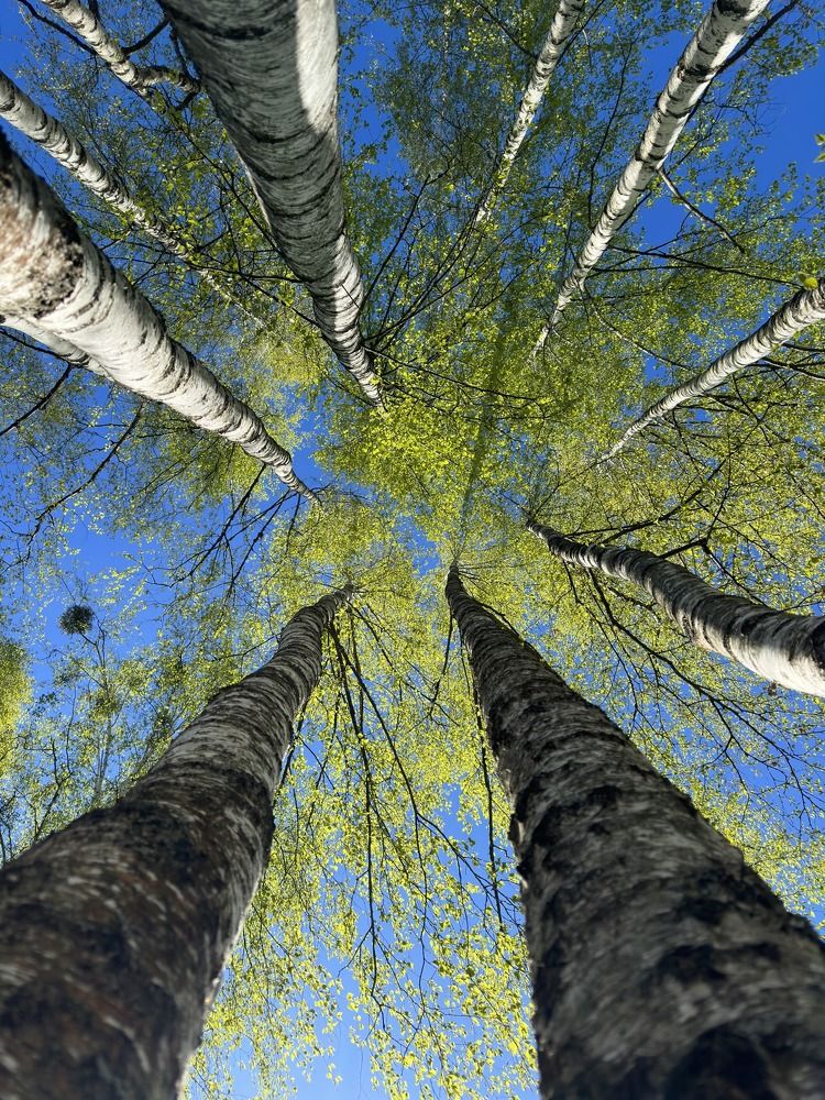 Photograph by Лариса Акинчиц