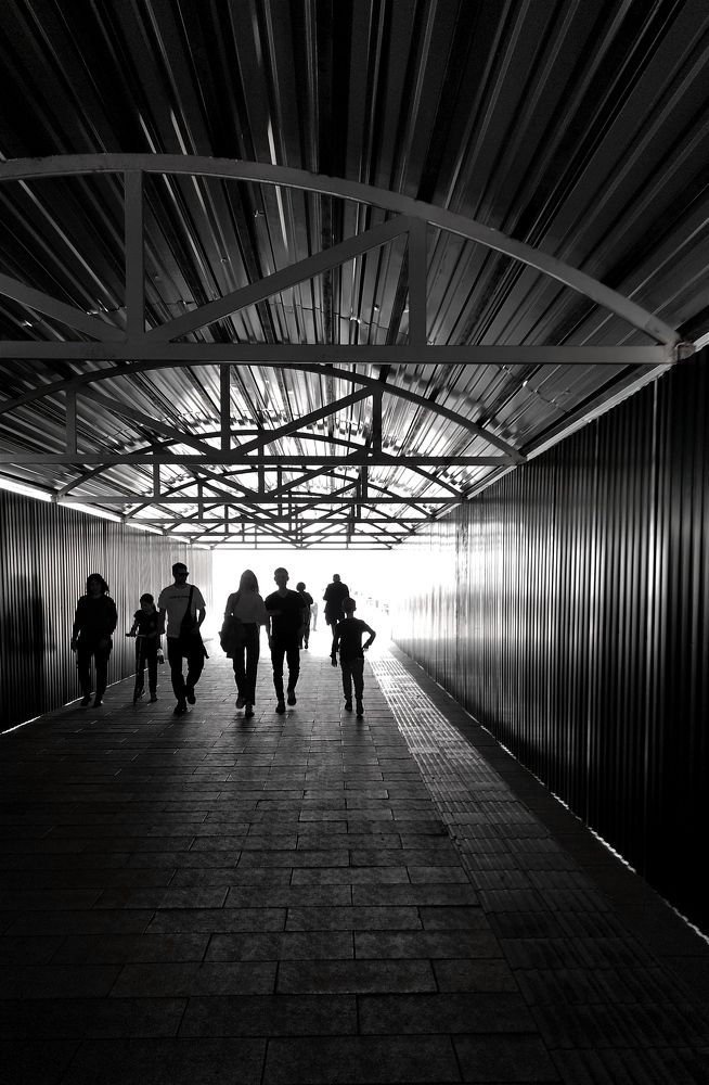 Идём на свет