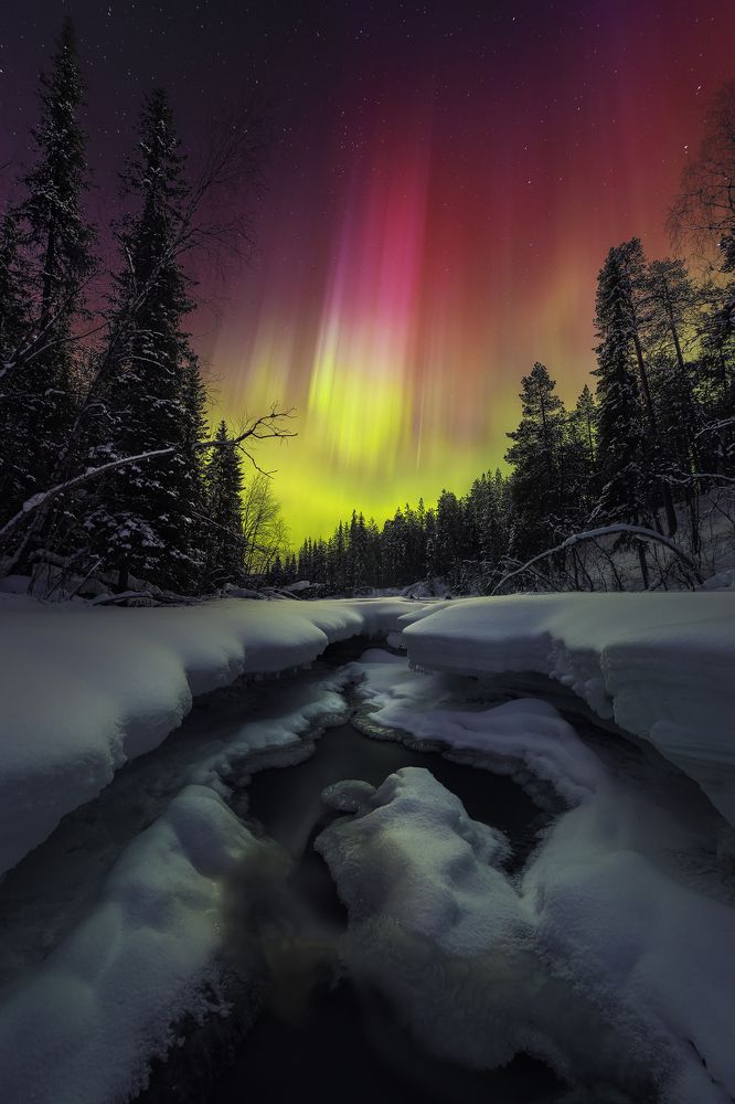 Photograph by Михаил Проскалов