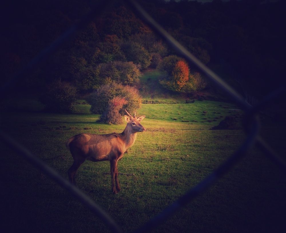 Photograph by zahra ghasemi ghasemi