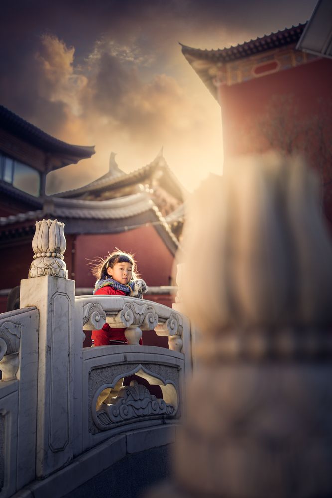 Photograph by 赋睿多猫