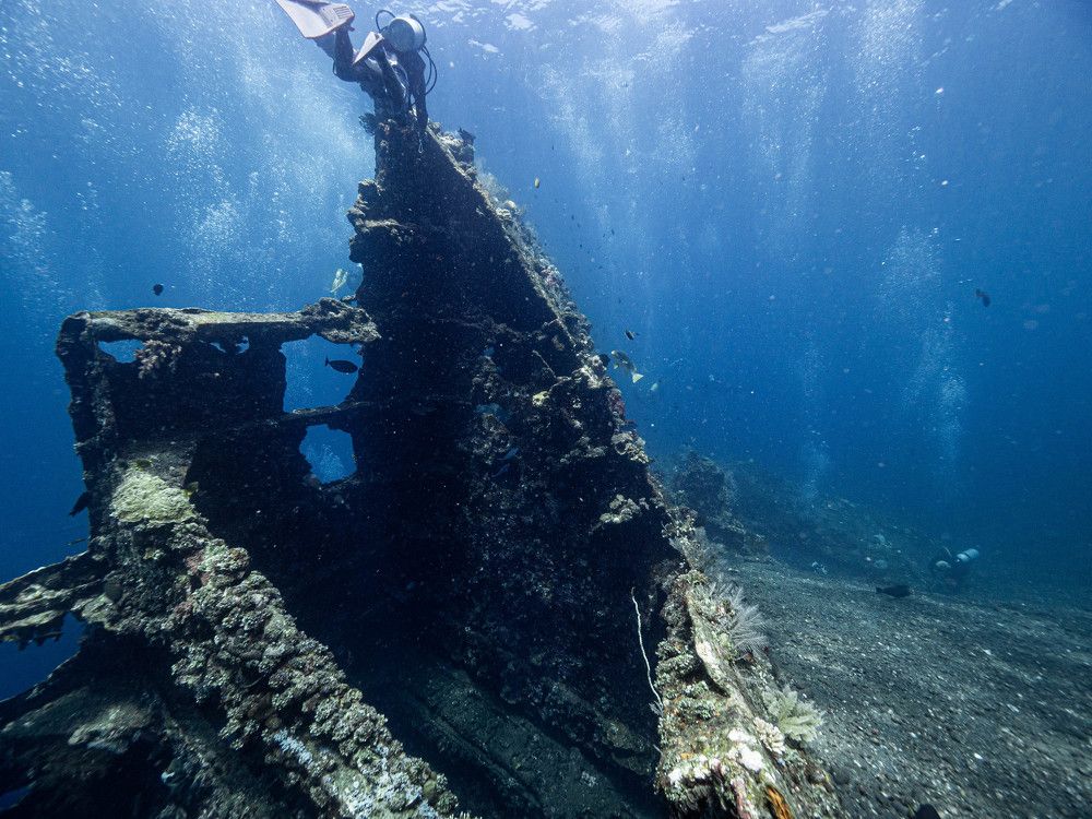 Photograph by Junya Higashi