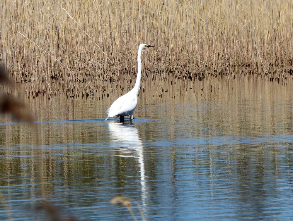 Photograph by Pjotr Alekseev