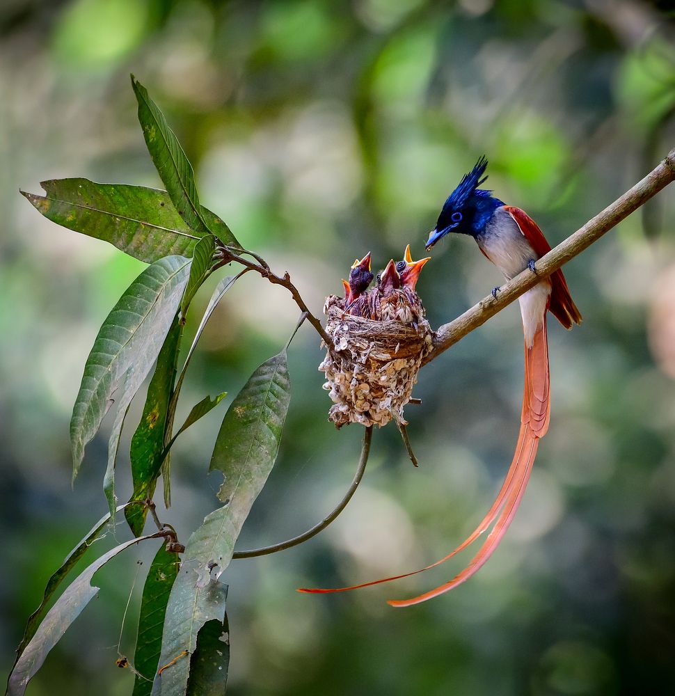 My family. My Paradise.