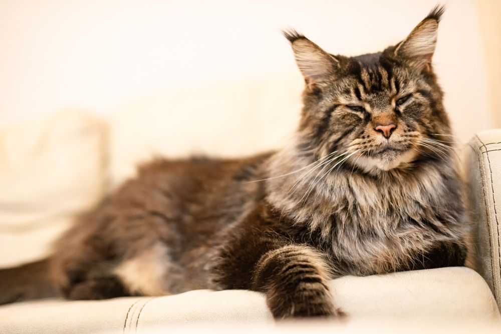 Photograph by Юлия Вершинина