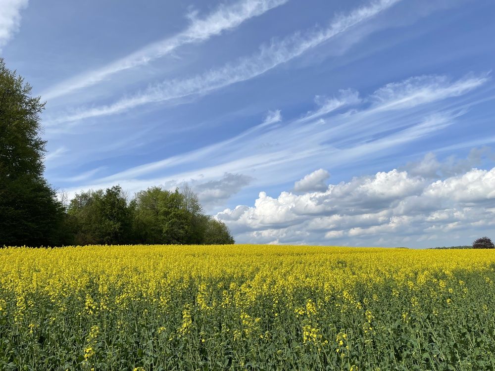 Photograph by Марина Дикманн