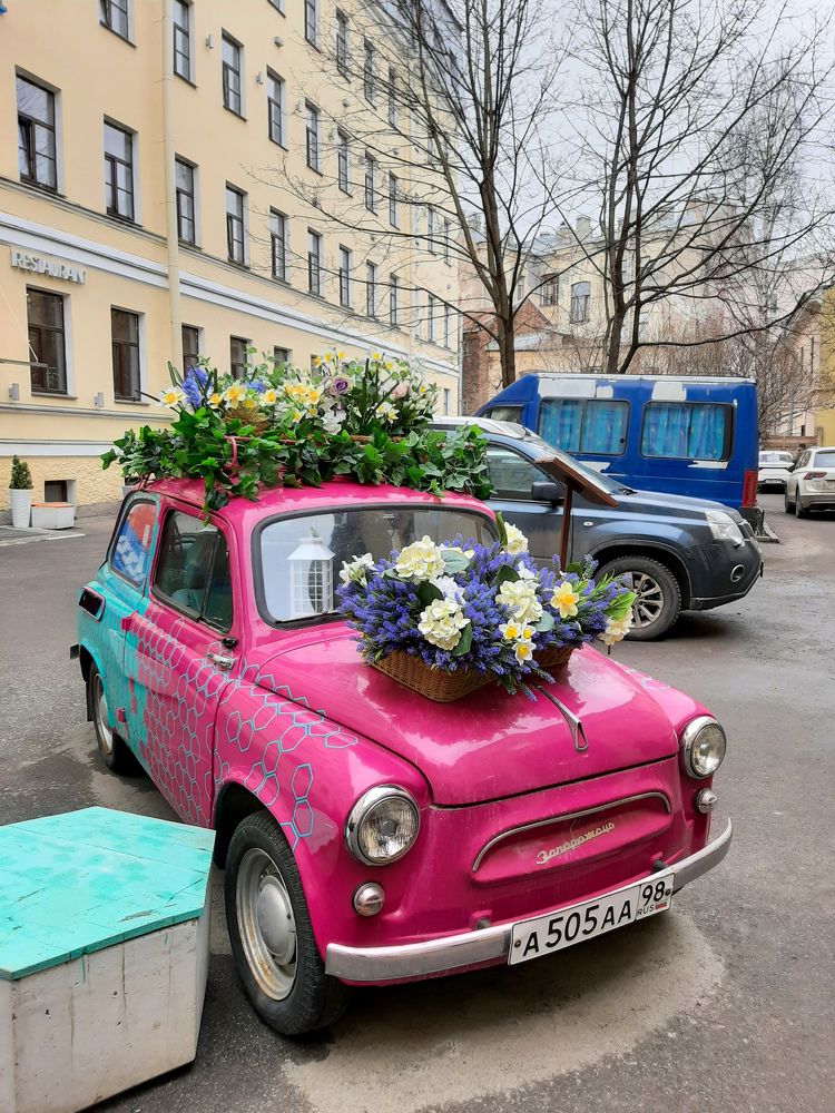 Фотография автора Светлана Дунаева