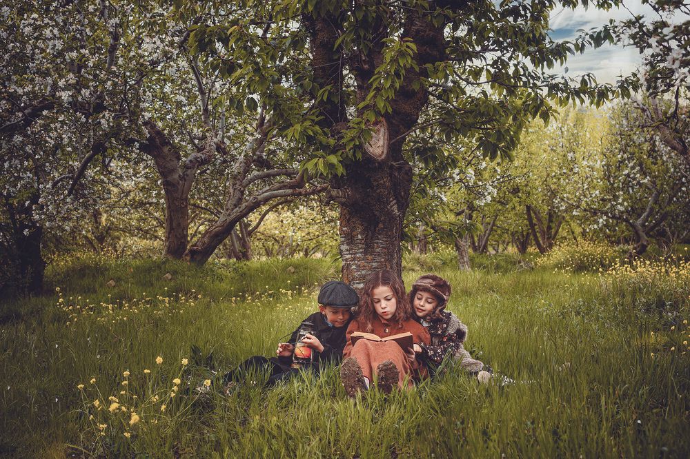 Photograph by noujoud photographer