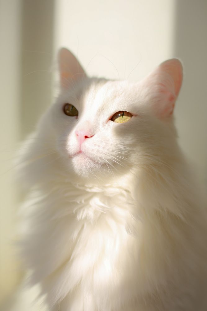 Photograph by Светлана Ковальчук