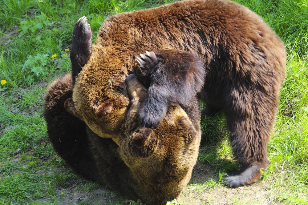 Photograph by Мари Полищук