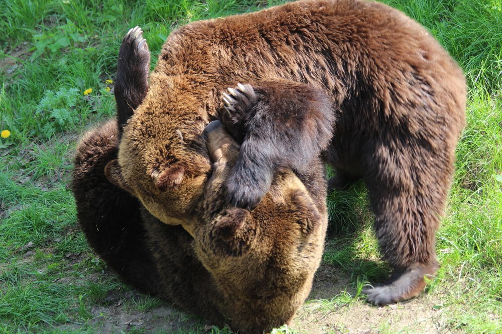 Photograph by Мари Полищук