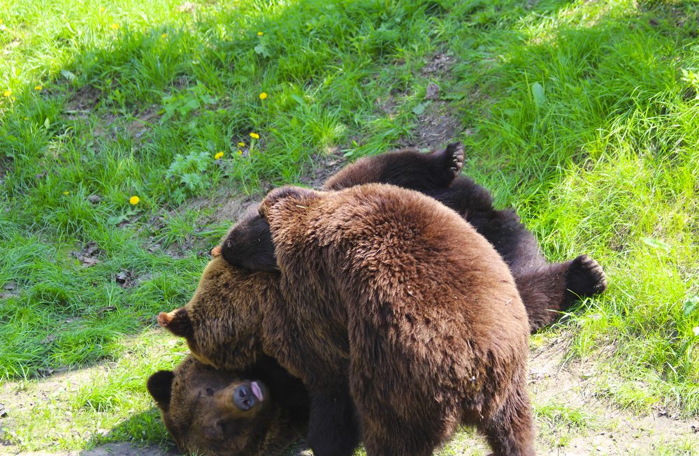 Photograph by Мари Полищук