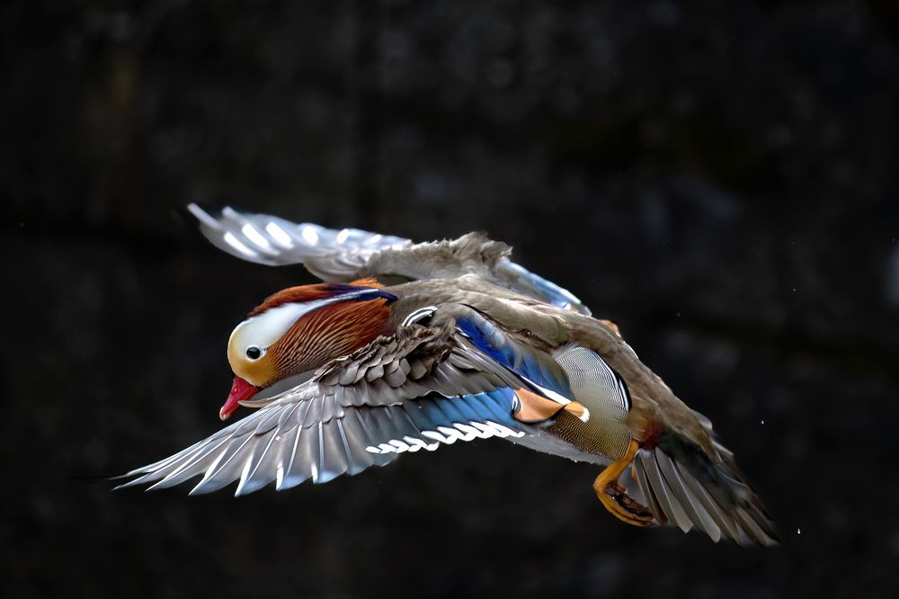 Photograph by Paul Lehmann