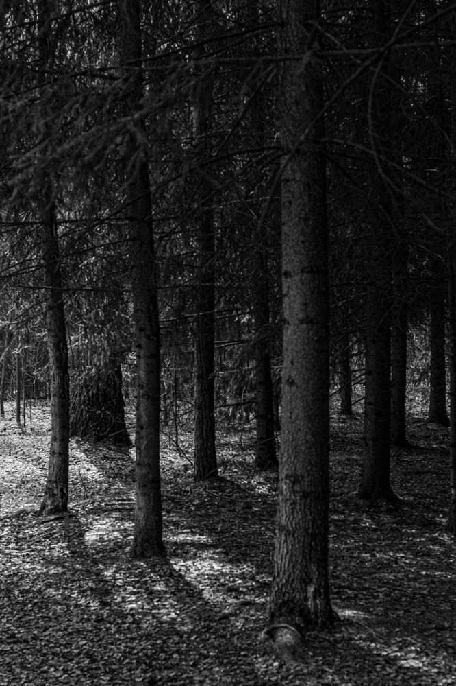 Photograph by Вета Юн