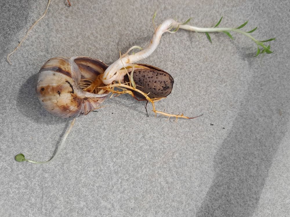 Photograph by Татьяна Ситникова