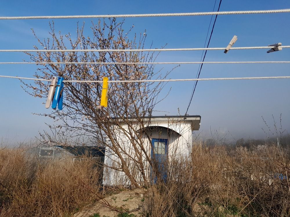 Photograph by Татьяна Ситникова