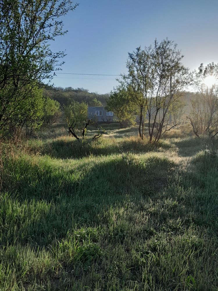 Photograph by Татьяна Ситникова